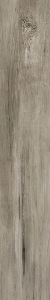 Antiqua Grigio · 20x120
